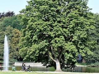 Bulmker Park – Bild 2