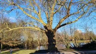 Bulmker Park – Bild 3