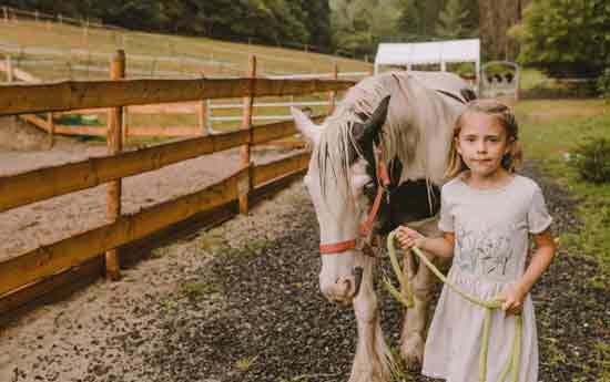 Hof Heinbach – Bild 6