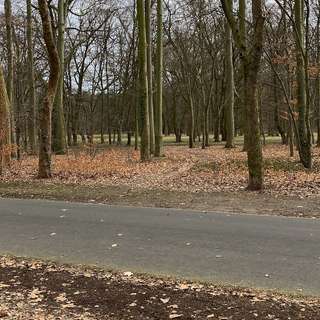 Prinz-Albrecht-Park – Bild 5