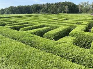 Irrgarten am Saurierpark – Bild 1