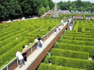 Irrgarten am Saurierpark – Bild 2