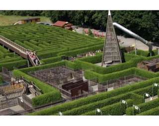Irrgarten am Saurierpark – Bild 3