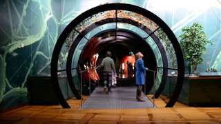 Deutsches Museum – Bild 4