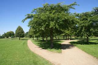 Viersener Jubiläumsgarten – Bild 1