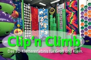 Froggyland – Bild 2