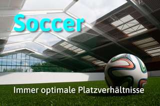 Froggyland – Bild 4