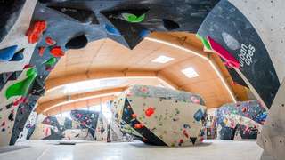 urban apes Hamburg West – Bild 3