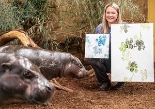 Zoo Duisburg – Bild 6