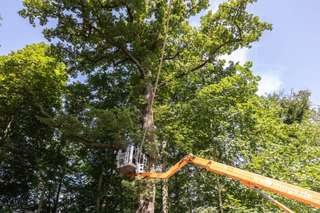 Spielplatz Peter-Krall-Straße – Bild 1