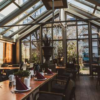 Blattlaus – Bild 2