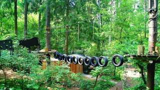 Kletterwald Aurich – Bild 1