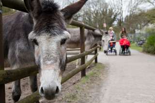 Abenteuerspielplatz Lobetalarbeit – Bild 1