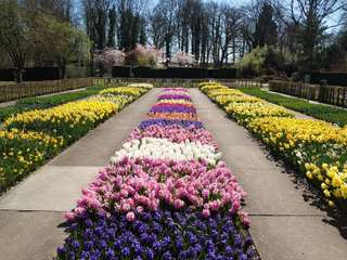 Wildfreigehege Bend – Bild 5