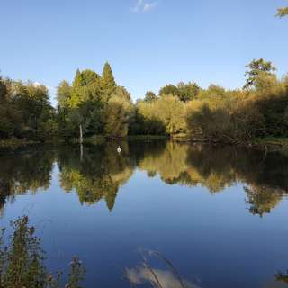 Wildfreigehege Bend – Bild 6