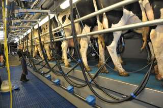 Bauernhof Freyer – Bild 3