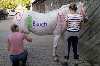 Animals For Kids – Bild 1