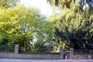 Walder Stadtpark – Bild 5