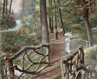 Damwildgehege Bad Oeynhausener Schweiz – Bild 4