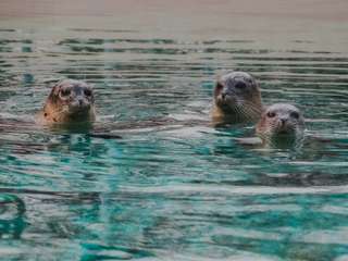 Tierpark + Fossilium Bochum – Bild 6