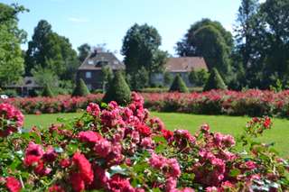 Stadtgarten Castrop-Rauxel – Bild 2