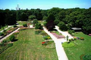 Jubiläumshain – Bild 3