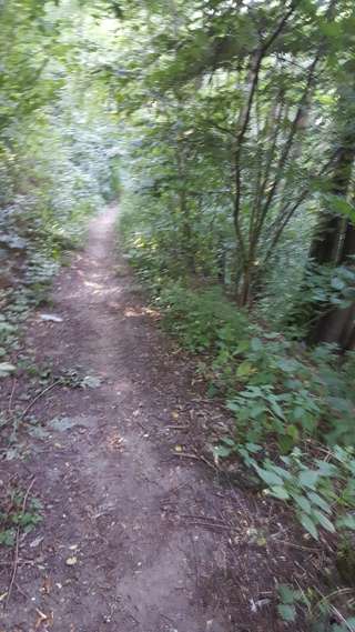 Stadtwald Rheydt – Bild 5