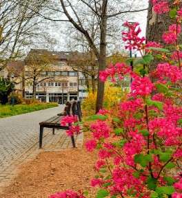 Park Ditzingen – Bild 2