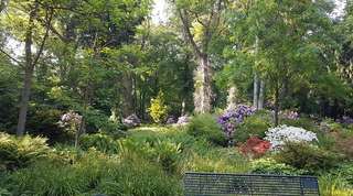 Bunter Garten – Bild 5