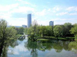 Beueler Rheinaue – Bild 6