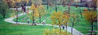 Malden Park – Bild 1