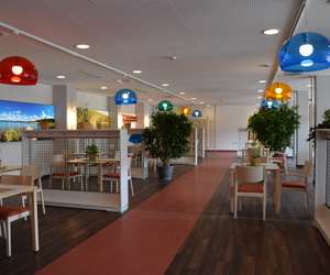 TANTE NORIS im Park - noris gastro gGmbH – Bild 6