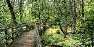 Rondeau Park – Bild 1