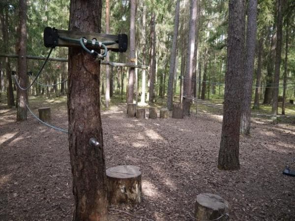 Walderlebniszentrum Tennenlohe – Bild 6