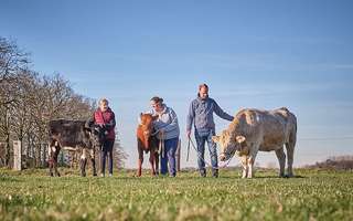 Erlebnishof Bocholt – Bild 2