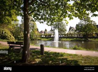 Ludwig-Rehbock Park – Bild 2