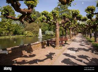 Ludwig-Rehbock Park – Bild 6