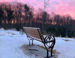 Purple Woods Conservation Area – Bild 1
