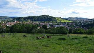 Hofladen Berghof – Bild 2