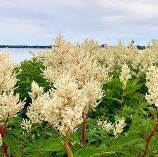 Valois Bay Park – Bild 2