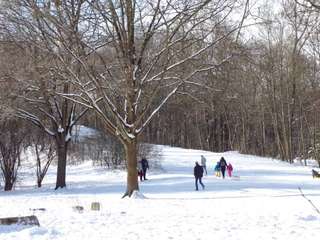 Rodelberg Stadtpark – Bild 2