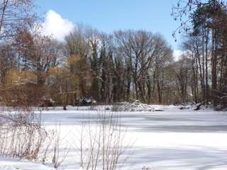 Rodelberg Stadtpark – Bild 3