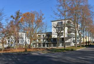 Auf der Hartenecker Höhe – Bild 1