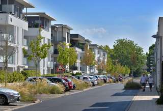 Auf der Hartenecker Höhe – Bild 4