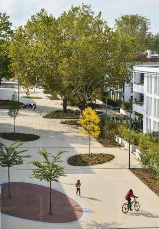 Auf der Hartenecker Höhe – Bild 5