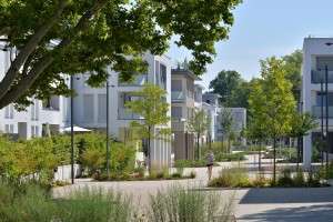 Auf der Hartenecker Höhe – Bild 6