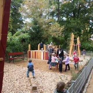 Birkenwäldchen – Bild 2