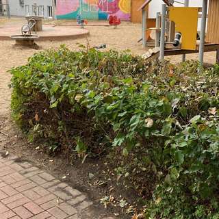 Spielplatz Hohenzollernstraße – Bild 4