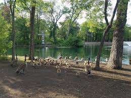 St. Vital Park – Bild 3