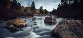 Manuels River - Registered Charity – Bild 1